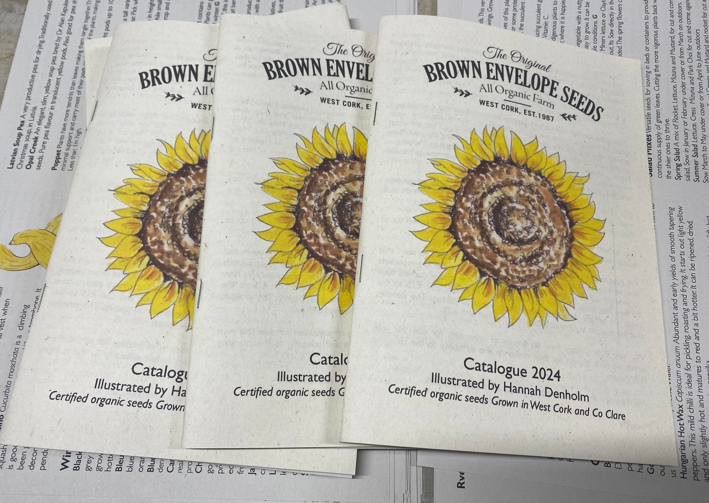 '2024 Catalogue'