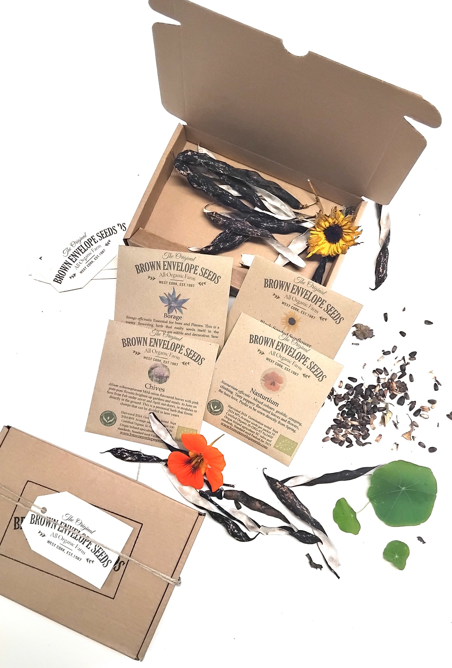 Bee Gift Box