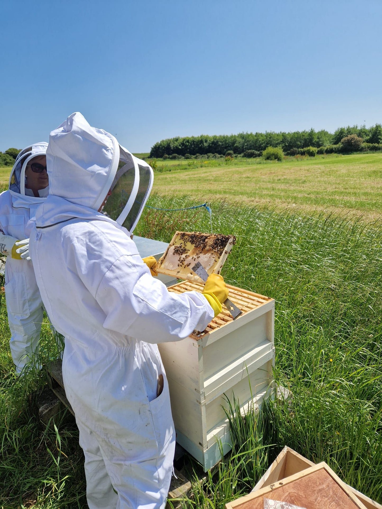 'Bee Keeping with Kate Manning' Saturday 11th May 2024