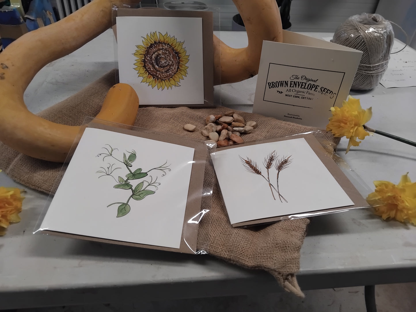 Brown Envelope Seeds Greetings Cards