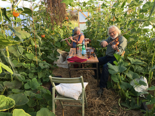 Growing food and community in a  polytunnel 3rd August