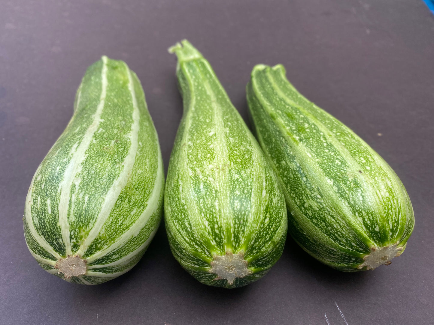 Cocozelle Courgette