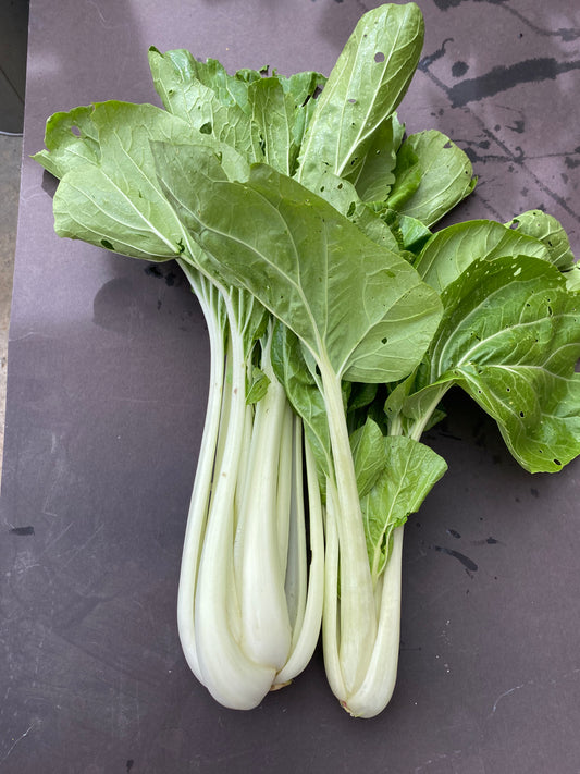 Pak Choi
