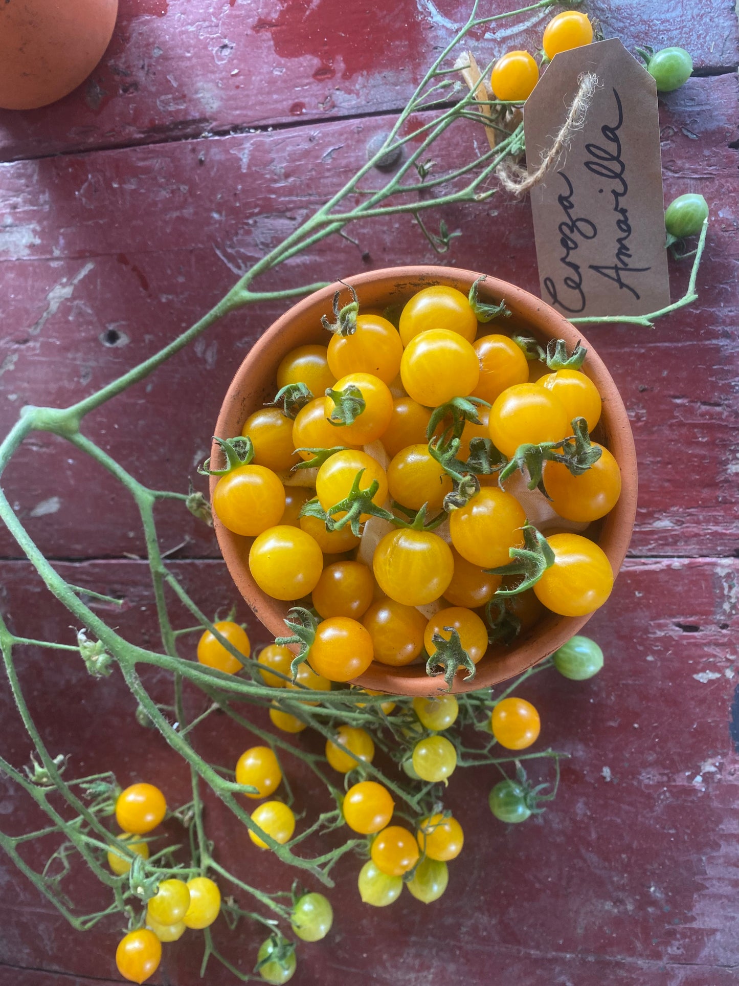 Cereza Amarillo