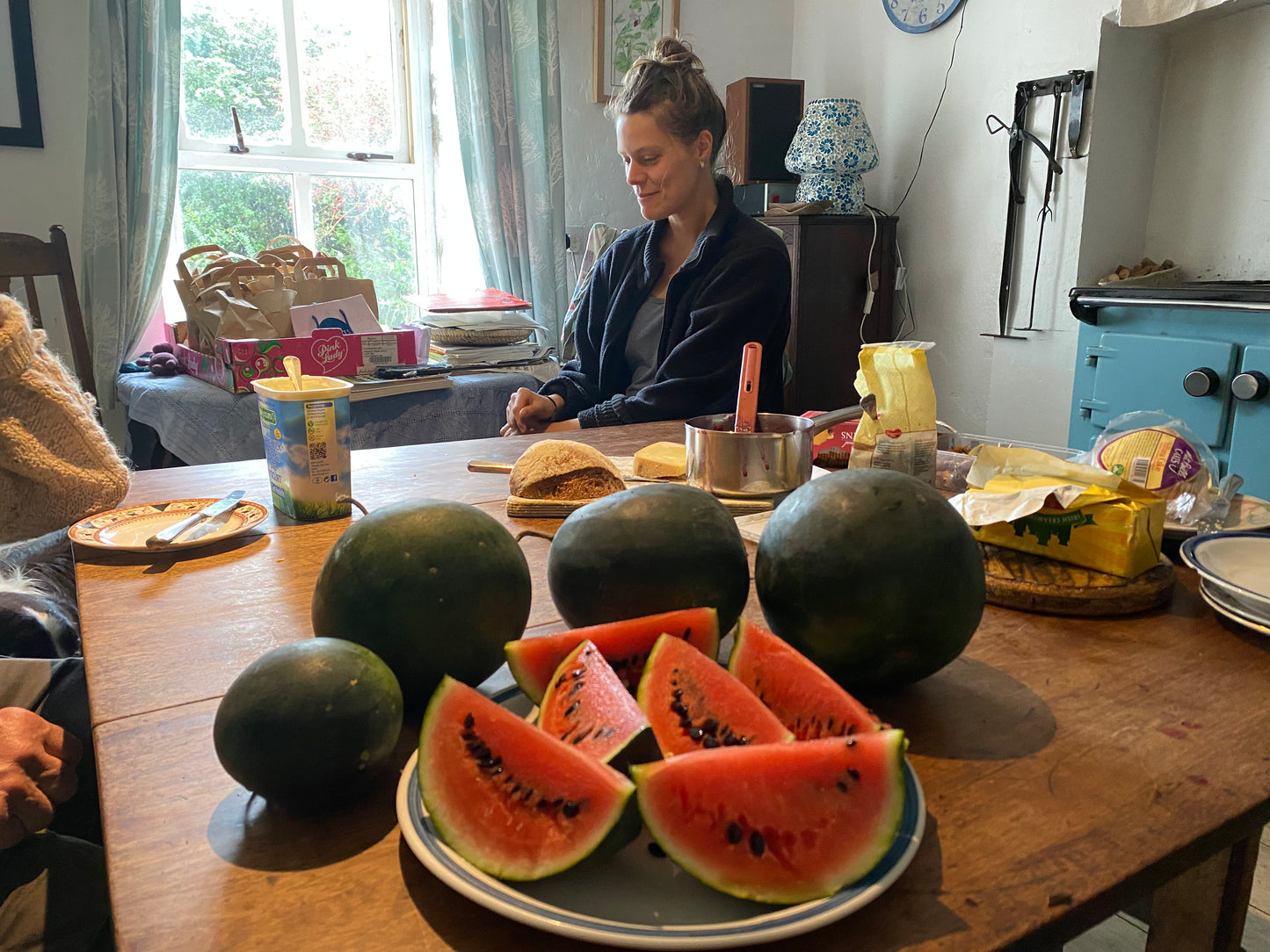 Watermelon Polar Lights