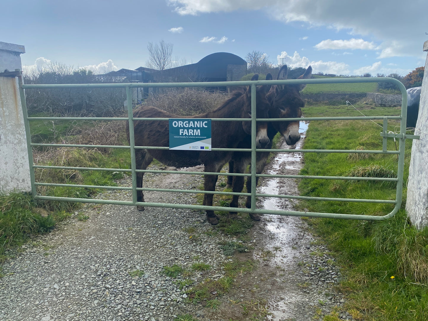 Open day, Farm and forest walk. Saturday 1st  June 2024