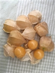 Pineapple Physalis
