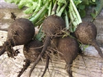 Round Black Radish