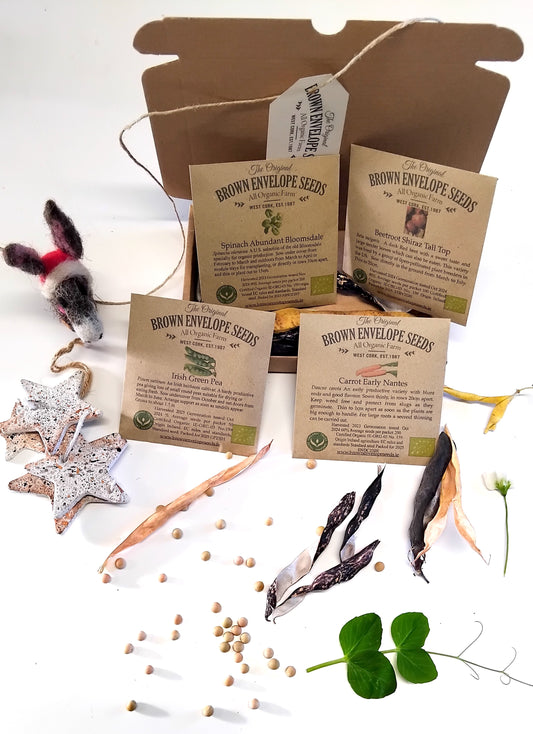 Baby's First Dinner Gift Box