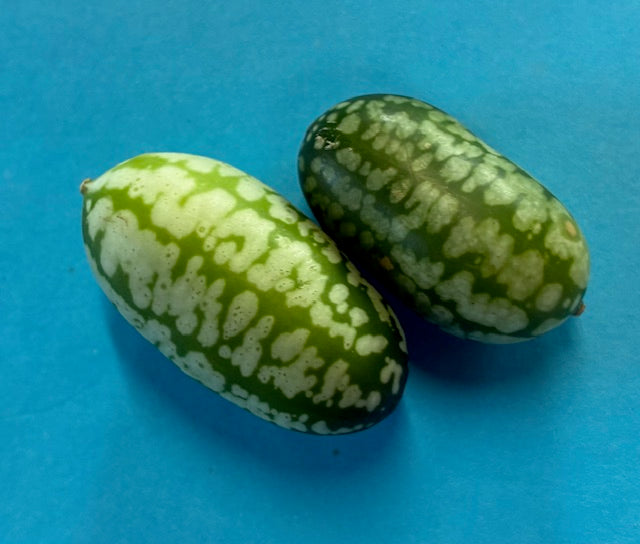Cucamelon