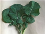 Asparagus Kale