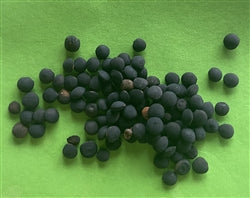 Beluga Lentils