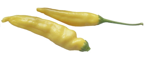 Lemon Drop
