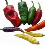 Mixed Hot Chillies