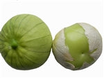 Plaza Latina Giant Tomatillo