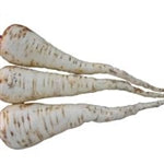 White Gem Parsnip