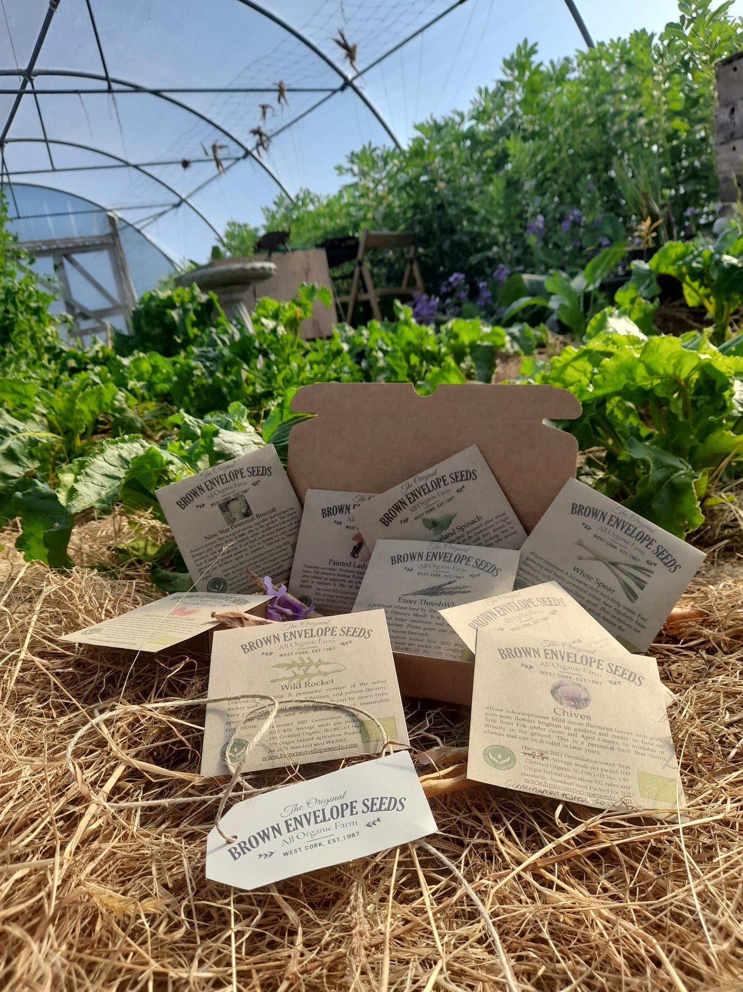 Perennial Veg Gift Box