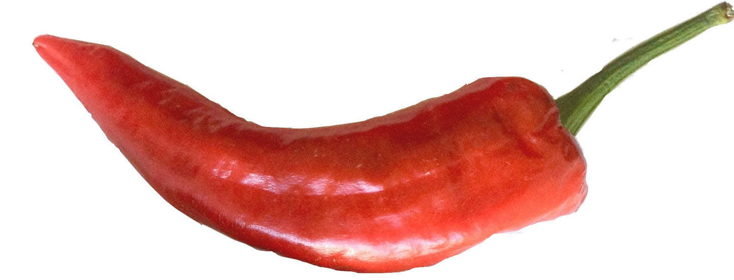 Pixie Hat Paprika