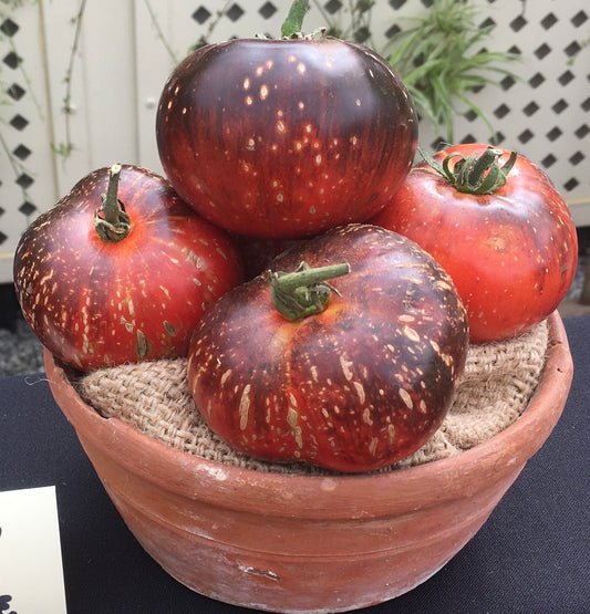 Dark Galaxy Tomato