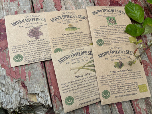 The June Salad Days Bundle