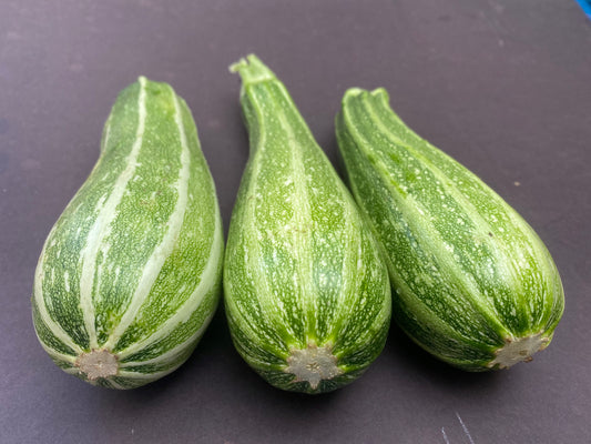 Cocozelle Courgette