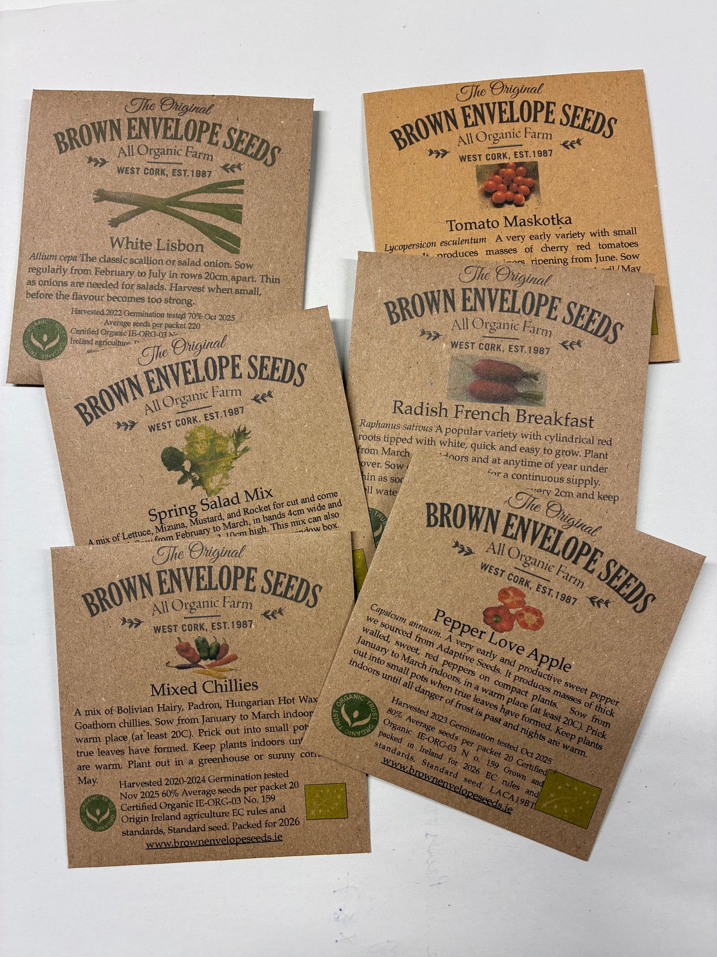 Just Get Started Bundle