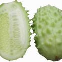 West Indian Cucumber